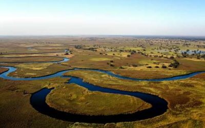 Jao, Okavango Delta