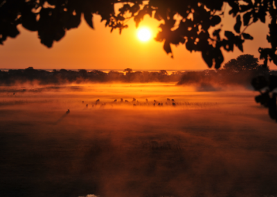 Busanga Plains Camp