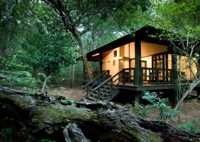 Phinda Forest Lodge