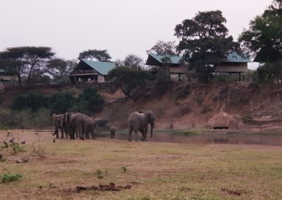 Kavinga Safari Camp